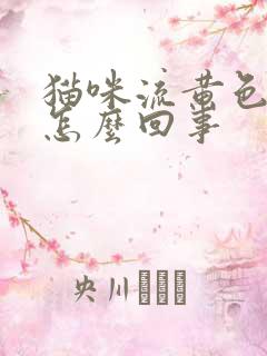 猫咪流黄色眼屎怎么回事