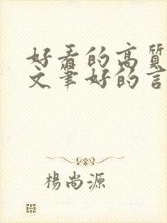 好看的高质量的文笔好的言情