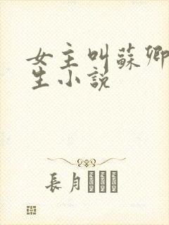 女主叫苏卿的重生小说