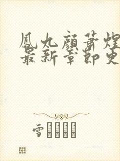 凤九颜萧煜小说最新章节更新免费阅读