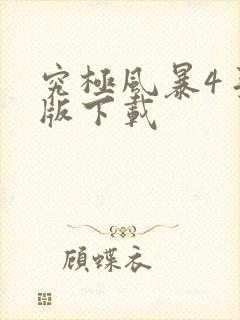 究极风暴4手机版下载