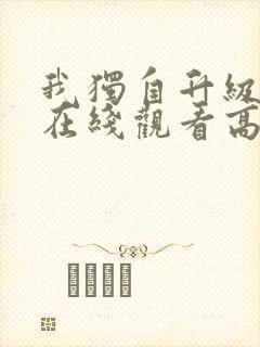 我独自升级动漫在线观看高清