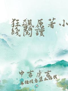 狂飙原著小说在线阅读