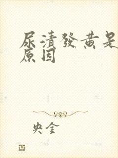 尿渍发黄是什么原因