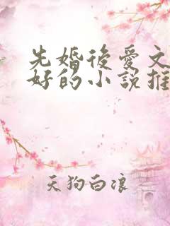 先婚后爱文笔超好的小说推荐