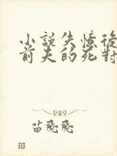 小说失忆后错把前夫的死对头当老公