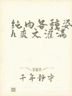 纯肉各种姿势高h爽文灌满