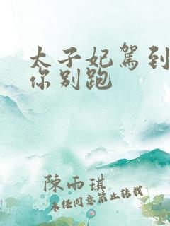 太子妃驾到总裁你别跑