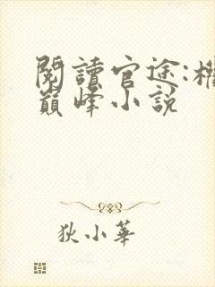 阅读官途:权力巅峰小说