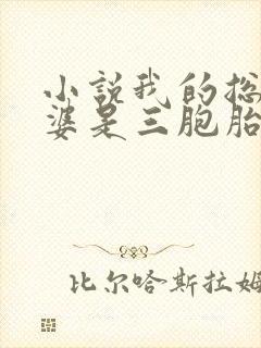 小说我的总裁老婆是三胞胎