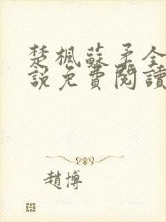 楚枫苏柔全本小说免费阅读