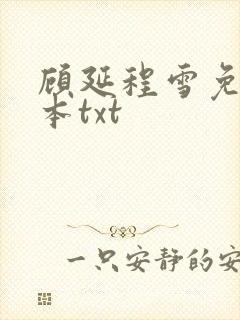 顾延程雪免费全本txt
