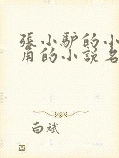 张小驴的小说主角的小说名字