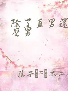 除了直男还有什么男