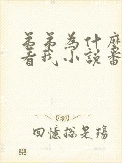 弟弟为什么这样看我小说番外