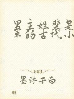 男主姓裴是个将军的古代小说