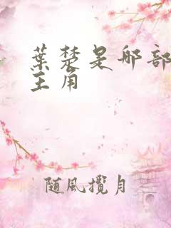 叶楚是哪部小说主角