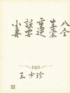 小说重生八零傻妻要逆袭全文