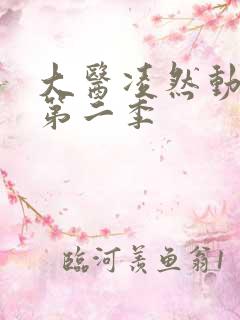 大医凌然动态漫第二季