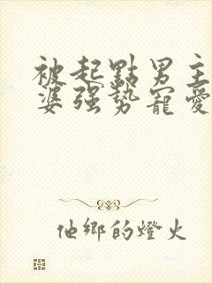 被起点男主的老婆强势宠爱的小说