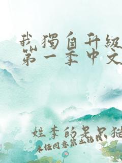 我独自升级动漫第一季中文版