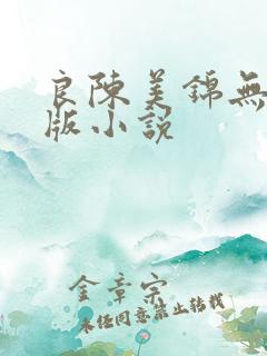 良陈美锦无删减版小说