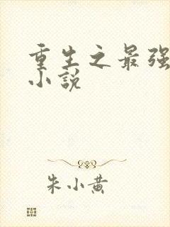 重生之最强系统小说