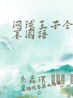 网球王子全国大赛国语