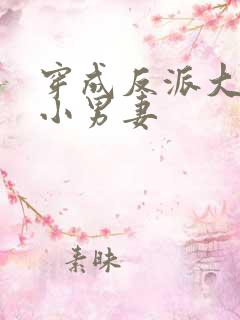 穿成反派大佬的小男妻