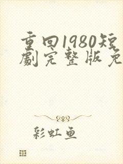 重回1980短剧完整版免费观看
