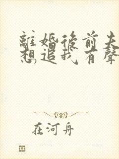 离婚后前夫总是想追我有声小说