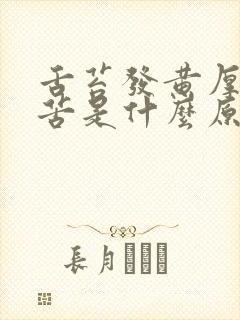 舌苔发黄厚腻口苦是什么原因