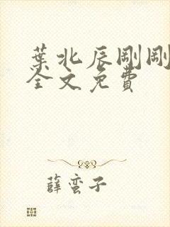 叶北辰刚刚更新全文免费