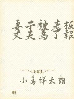 妻子被老板欺负丈夫为了报负想了个美人计