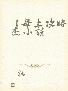 【母上攻略】小杰小说