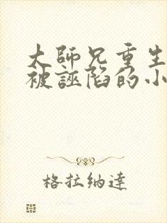 大师兄重生归来被诬陷的小说