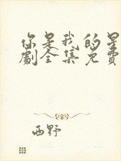 你是我的星辰短剧全集免费观看