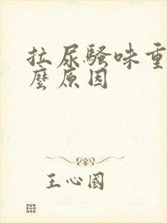 拉尿骚味重是什么原因