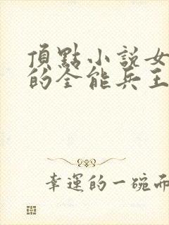 顶点小说女总裁的全能兵王免费阅读