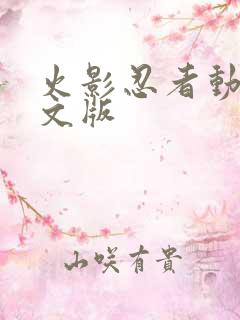 火影忍者动画中文版