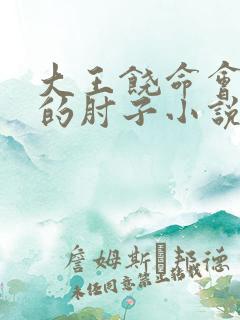 大王饶命会说话的肘子小说未删版