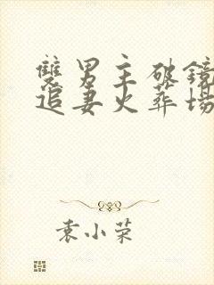 双男主破镜重圆追妻火葬场