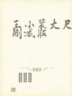 王小蒙大尺度未删减版
