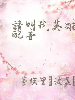 请叫我英雄国语配音