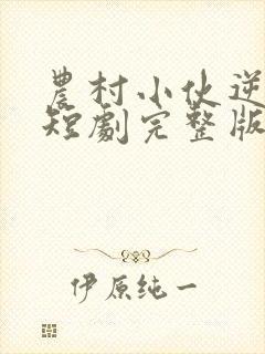 农村小伙逆袭路短剧完整版