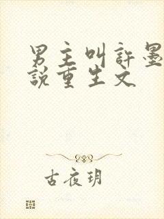 男主叫许墨的小说重生文