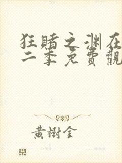 狂赌之渊在线第二季免费观看