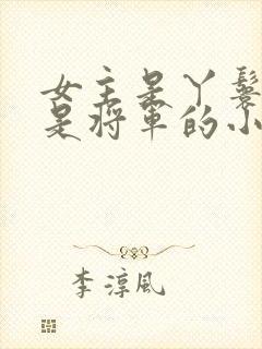 女主是丫鬟男主是将军的小说