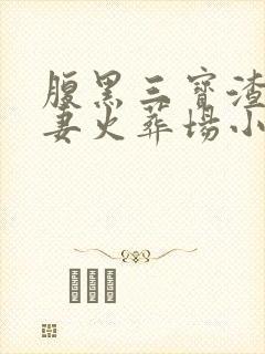 腹黑三宝渣爹追妻火葬场小说完整版