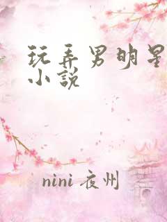 玩弄男明星的h小说